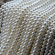 photo-2982430